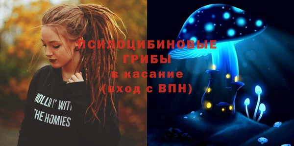 сатива Пенза