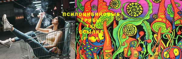 мескалин Кодинск