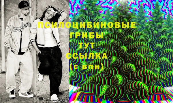 сатива Пенза